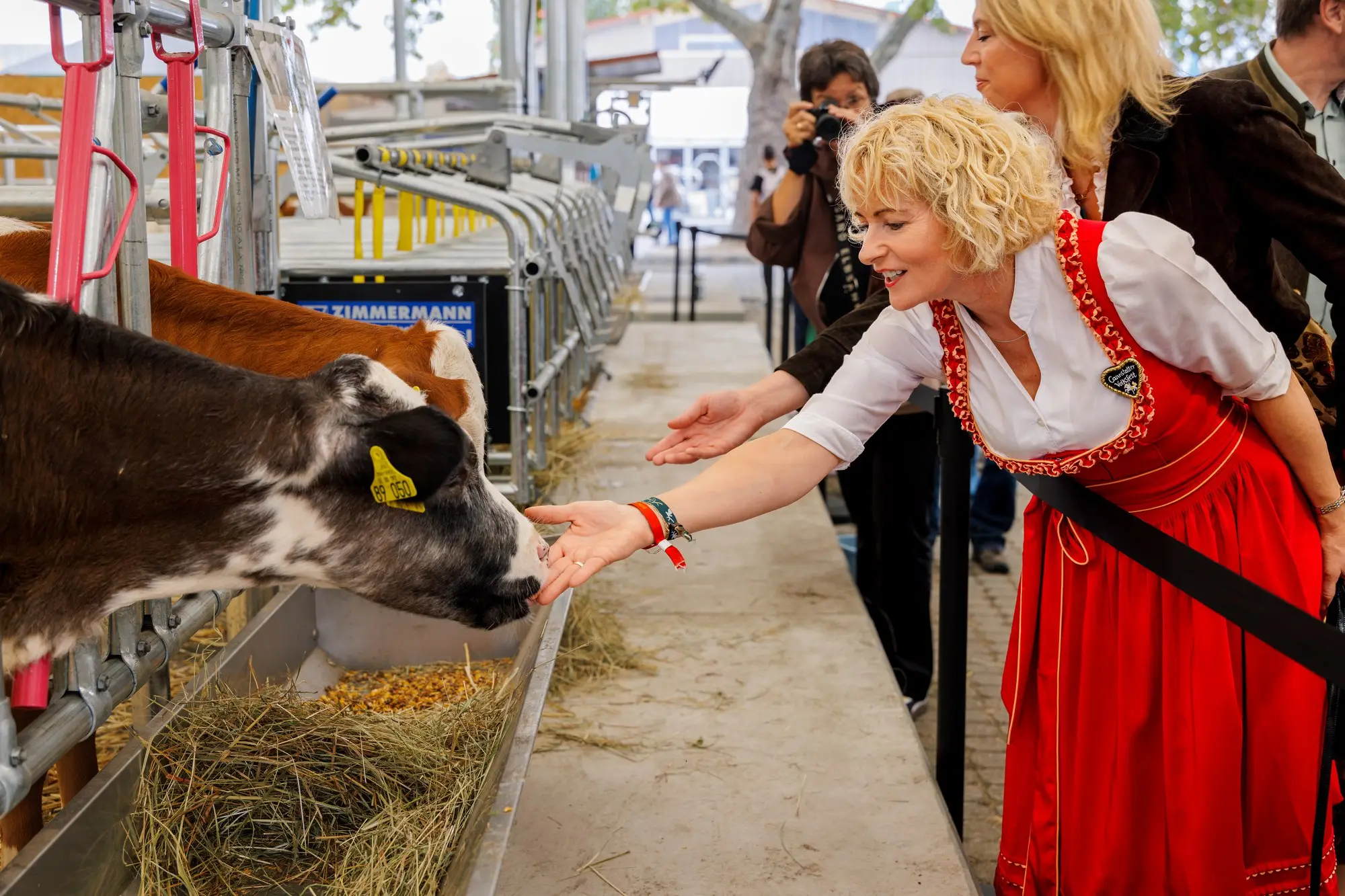 Messerundgang mit Ministerin Gentges: Besuch im Kälberstall des Hauptfests