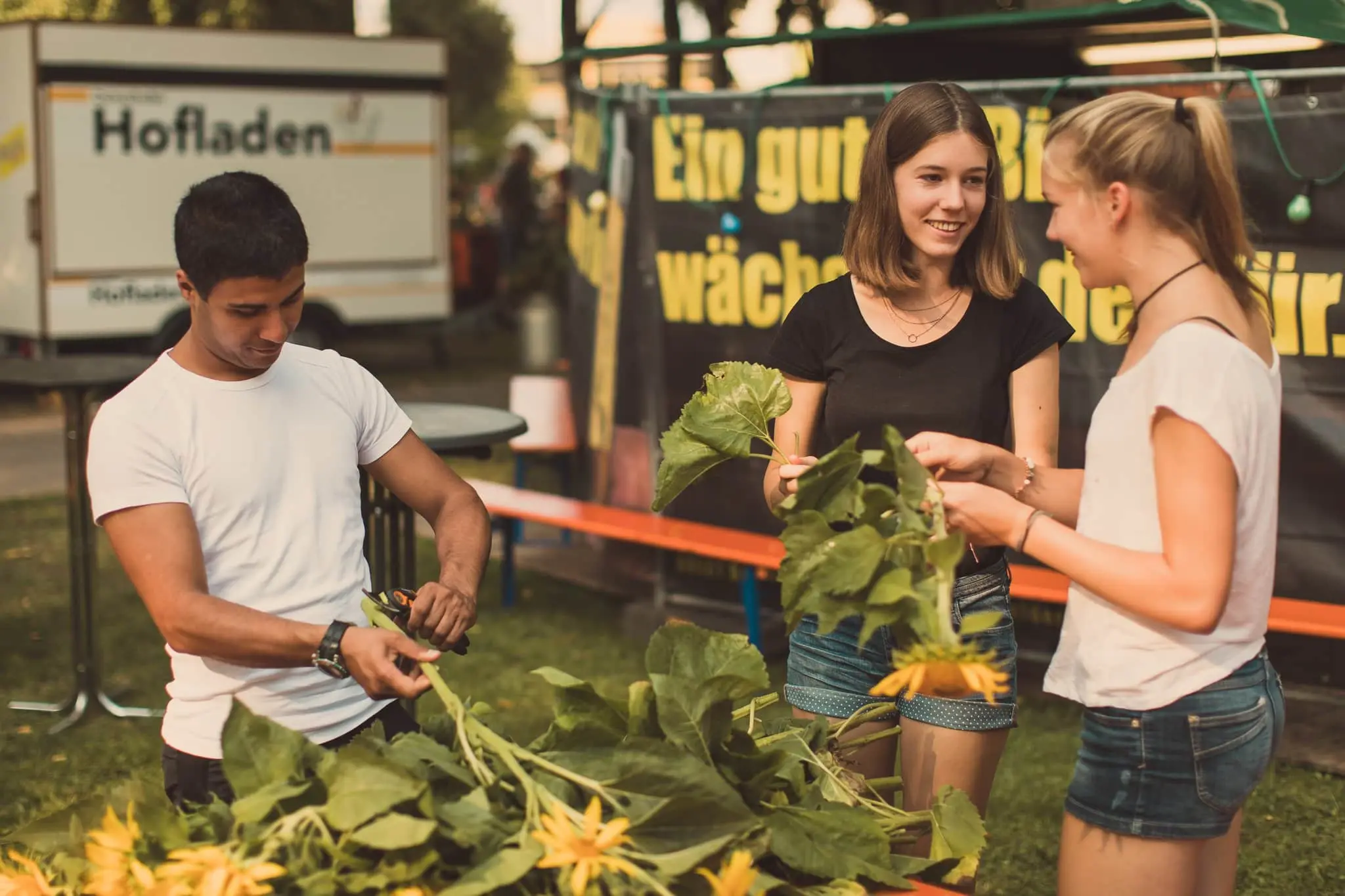 Besucher und Foodtruck-Stände beim Dillikat Festival 2019 im Taxis-Park Dillingen an der Donau