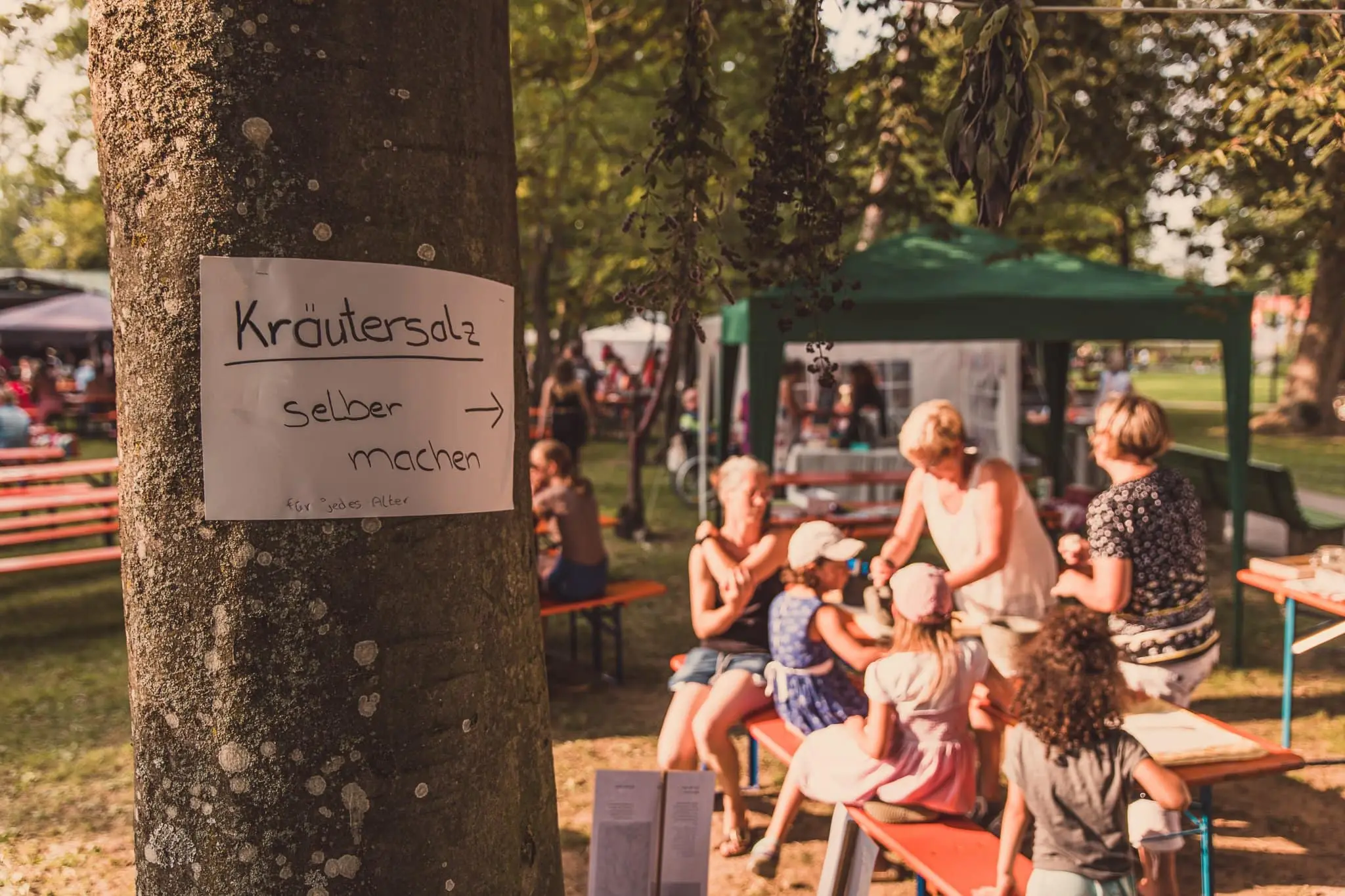 Besucher und Foodtruck-Stände beim Dillikat Festival 2019 im Taxis-Park Dillingen an der Donau