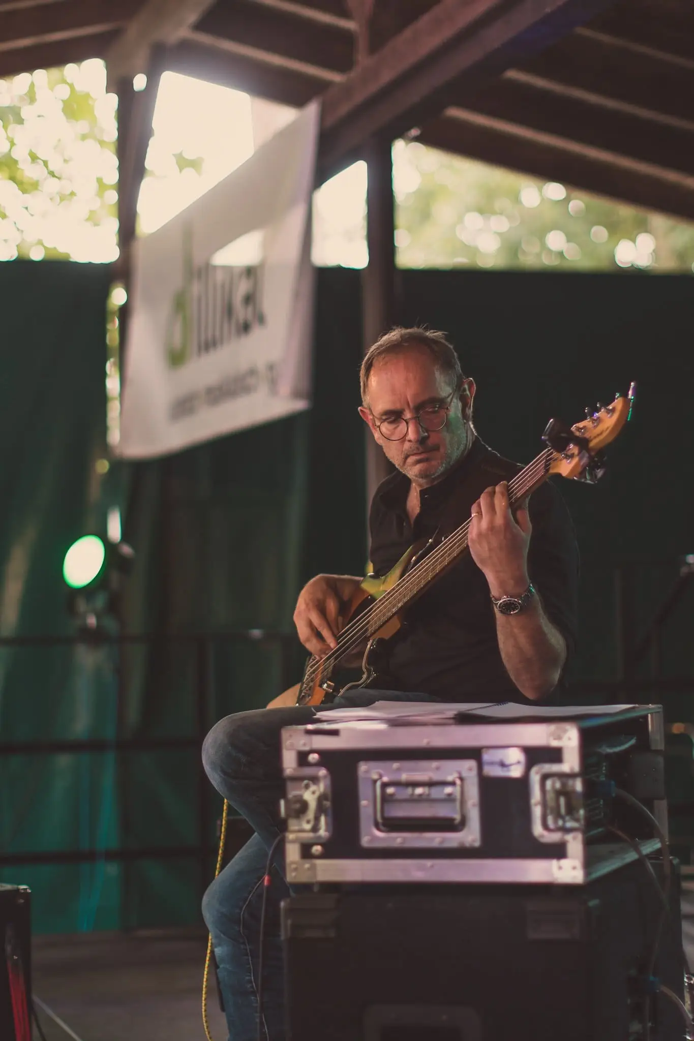 Besucher und Foodtruck-Stände beim Dillikat Festival 2019 im Taxis-Park Dillingen an der Donau